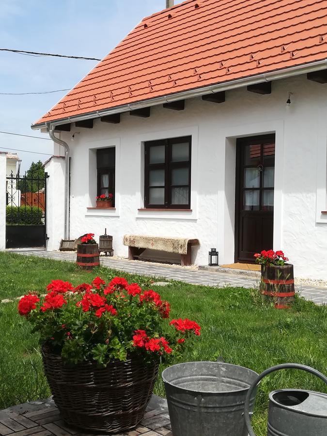 Szent Ivan Vendeghaz Tata Buitenkant foto